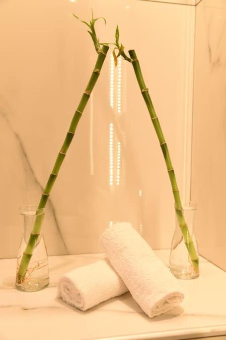 Syntagma Square, 30Sqm Nikis Luxurious Studio Atina Dış mekan fotoğraf